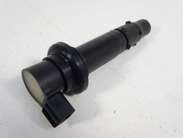 Zundspule Yamaha FZ1