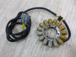 Dynamo Ducati Multistrada 950