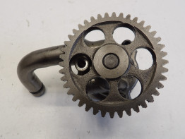 Olpumpe Yamaha FZR 1000