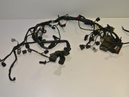 Wire Harness Kawasaki Z 750