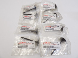 Cilinderkop Yamaha FJR 1300