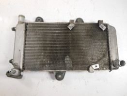 Radiateur Yamaha XTX 660