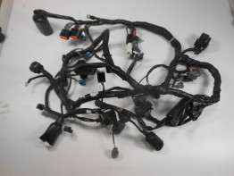 Kabelboom Kawasaki VERSYS 650