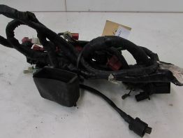 Wire Harness Honda CBR 1000 F