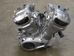 Motorblok Harley Davidson Pan America