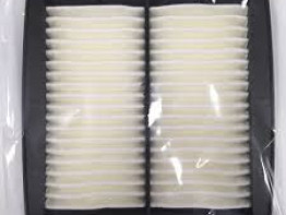 Luchtfilter Suzuki RF 900