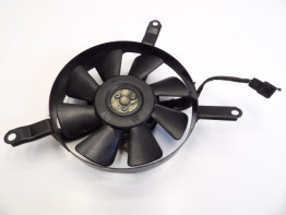 Fan Suzuki GSX R 750