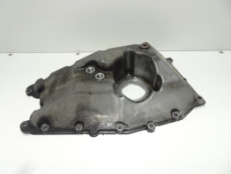 Carterpan Triumph Tiger 900