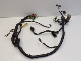 Cableado de motor Honda VT 750 Shadow