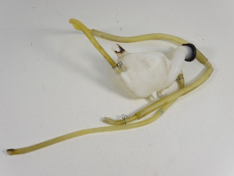 Koelvloeistof reservoir Yamaha YZF R 125