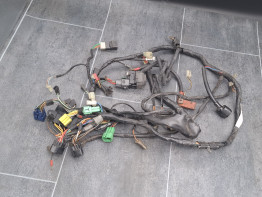 Cableado de motor Suzuki GSF 1200 Bandit