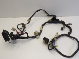 Wire Harness Yamaha FZ6