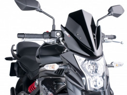 Wind screen Kawasaki ER 6