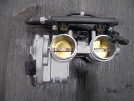 Gasklephuis KTM 790 Duke