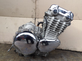 Engine Triumph Thunderbird 900