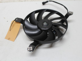 Fan Kawasaki Z 900