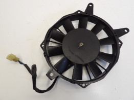Ventilator Triumph Thunderbird 900