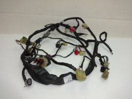 Kabelboom Honda PC 800