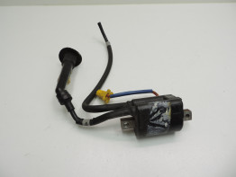 Bobine Yamaha FZR 600