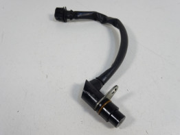 Engine parts Triumph Sprint ST 1050