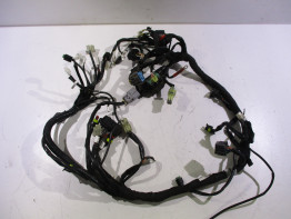 Kabelboom KTM 1290 Super duke