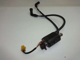 Bobine Yamaha YX 600 Radian