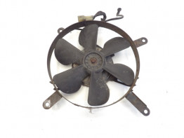 Fan Honda CBR 1100 XX