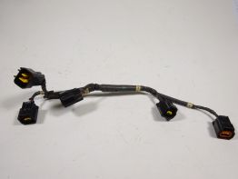 Wire Harness Kawasaki Z 750