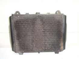 Kuhler Kawasaki GPX 600