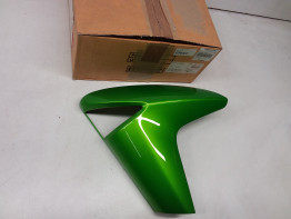 Linker zijkuip klein Kawasaki ER 6