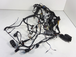 Kabelboom BMW F 800 S - ST