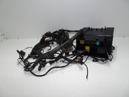 Wire Harness BMW R 850 R