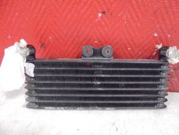 Olkuhler Honda CBR 1100 XX