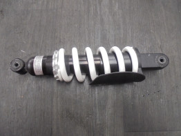 Stossdampfer hinten BMW R Nine T Scrambler