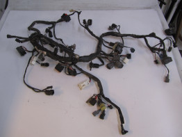 Wire Harness Kawasaki ER 6