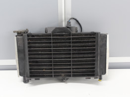 Radiator Yamaha FZ6