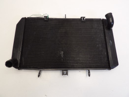 Kuhler Kawasaki Z 1000