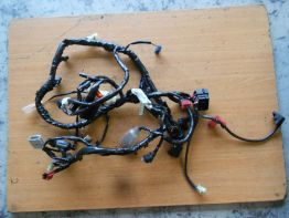 Wire Harness Honda CBR 600 F