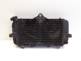 Radiateur Yamaha TDM