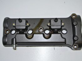 Kleppendeksel Honda CBF 1000