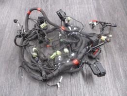 Kabelboom Ducati Monster 1200