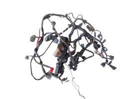 Kabelboom Triumph 675 Street Triple R