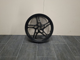 Voorvelg BMW R 1100 S