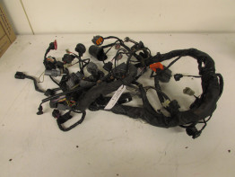 Wire Harness Kawasaki Z 750