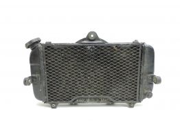 Radiateur Yamaha TDM
