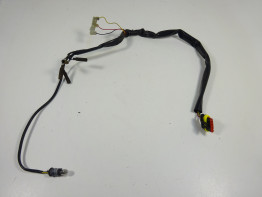 Achterlicht Ducati Monster 695