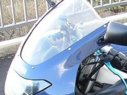 Kuipruit Yamaha YZF 600 Thundercat