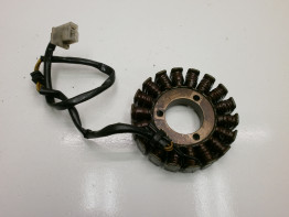 Dynamo Kawasaki ER 5