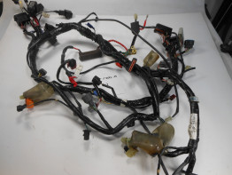 Wire Harness Honda ST 1300 Pan European