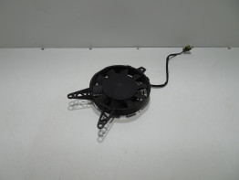 Ventilator Triumph Tiger 900